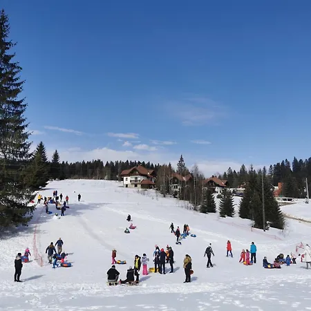 Suncani Breg Tara * Митровац