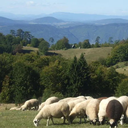 Daire Suncani Breg Tara *