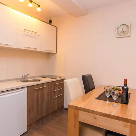 Daire Suncani Breg Tara